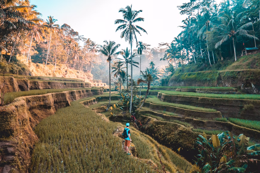 The Bali Adventure | Friends Edition 7 Days / 6 Nights