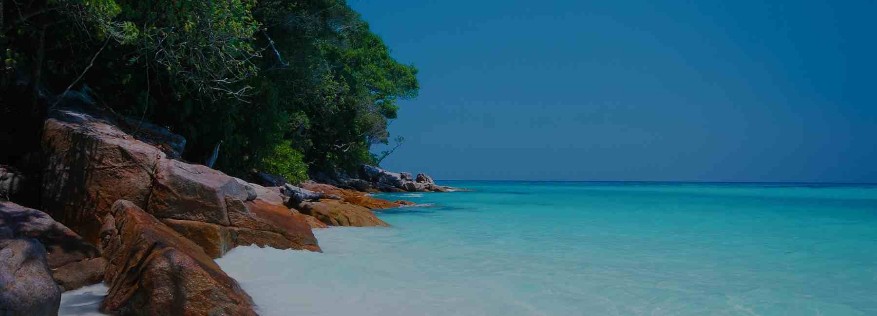 Underwater Romance in Andaman - Secluded Shores & Hidden Wonders